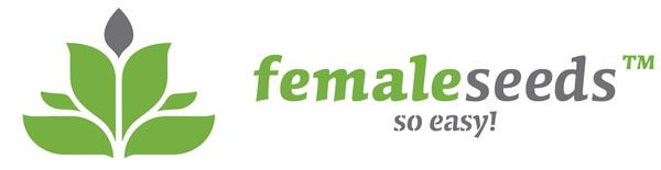 female-seeds_blog_full
