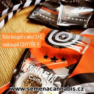 Nakupuj chytře - nakupuj když je 1+1 Děkujeme KANNABIA www.semenacannabis.cz/KANNABIA #akce #vánoce #christmas #kannabia...